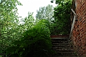 Fiori, Piante, natura_46